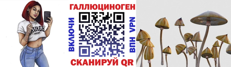 Галлюциногенные грибы мицелий  гидра рабочий сайт  Тихвин 