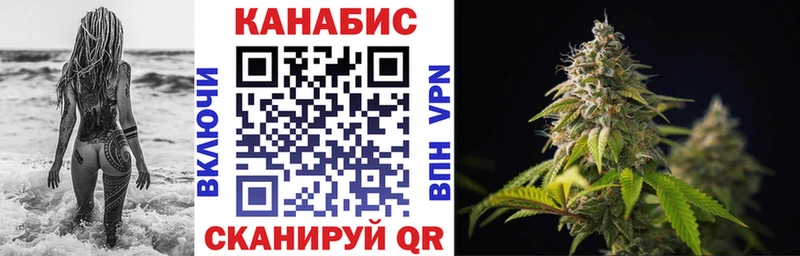 купить закладку  Тихвин  Конопля SATIVA & INDICA 