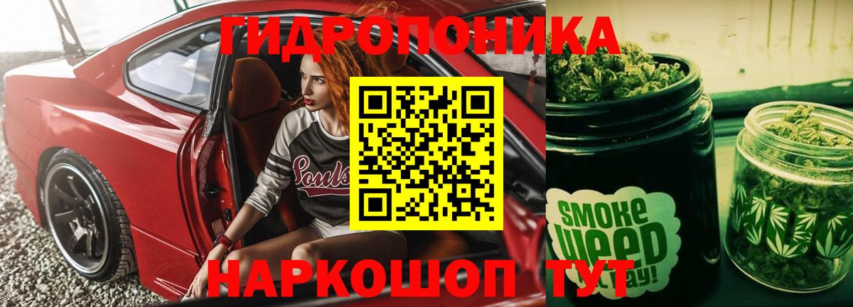 Бошки Шишки ГИДРОПОН  Конопля индика  Тихвин  МАРИХУАНА планчик  Вход с VPN 